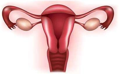 Dysfunctional Uterine Bleeding Natural Treatment
